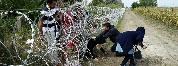 Migrants in Hungary near the Serbian border, 25 August 2015.