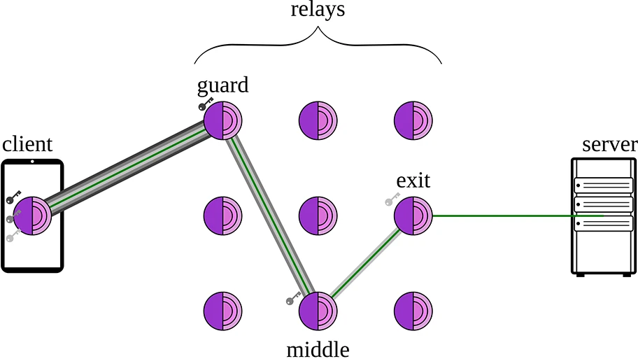 Die Abbildung zeigt, wie der Client sich über drei Tor-Knoten mit dem Server verbindet. Dabei entfernt jeder Knoten eine Verschlüsselungsschicht, so dass sie jeweils nur ihre Nachbarn kennen.