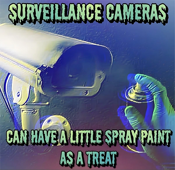 Surveillance Cameras